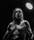 A black and white photo of Iggy Pop, taken by photographer Vincent Guignet.