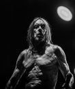 Iggy Pop press photo.