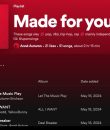 Image of a Spotify playlist. There are some tips for getting on Spotify playlists for free that can really help get your music heard.