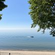 A lake in the summertime.