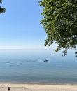 A lake in the summertime.
