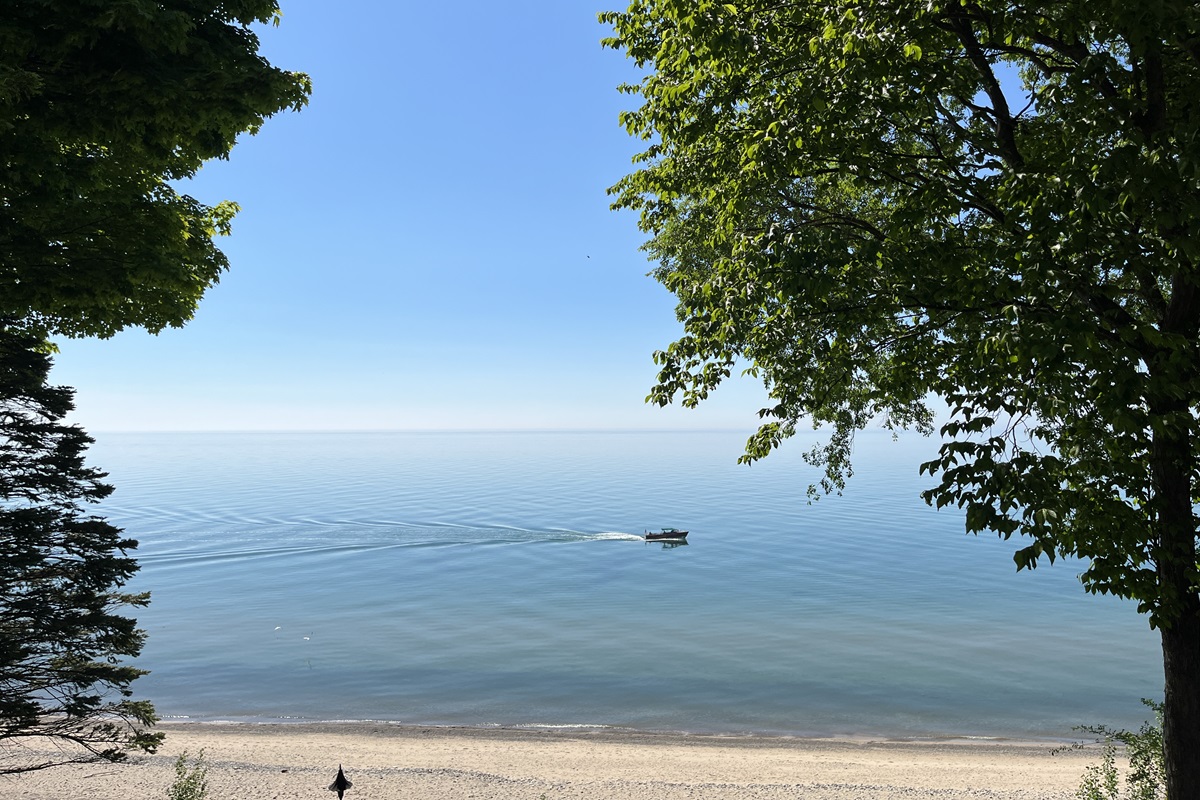 A lake in the summertime.