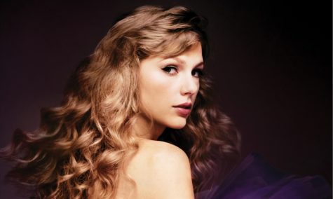 Tayor Swift posing with a profile view.